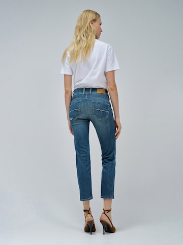 Salsa Jeans Skinny Jeans in Blauw