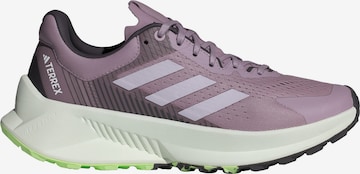 ADIDAS TERREX Running Shoes 'Soulstride Flow' in Purple