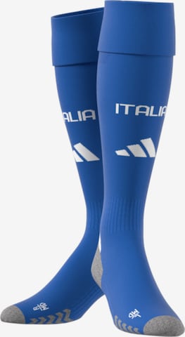 ADIDAS PERFORMANCE Soccer Socks in Blue: front