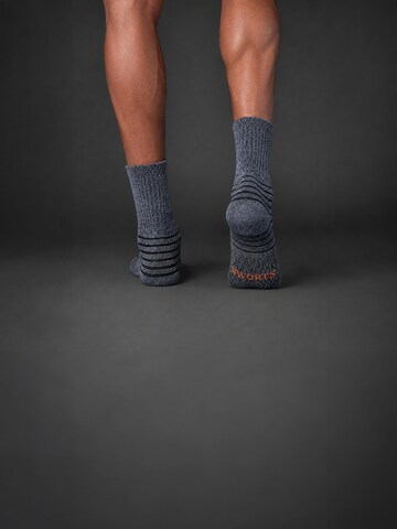 SWORTS Athletic Socks 'CUSHION' in Grey