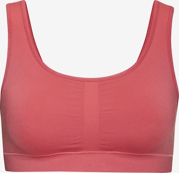 Reggiseno di LASCANA in rosso: frontale