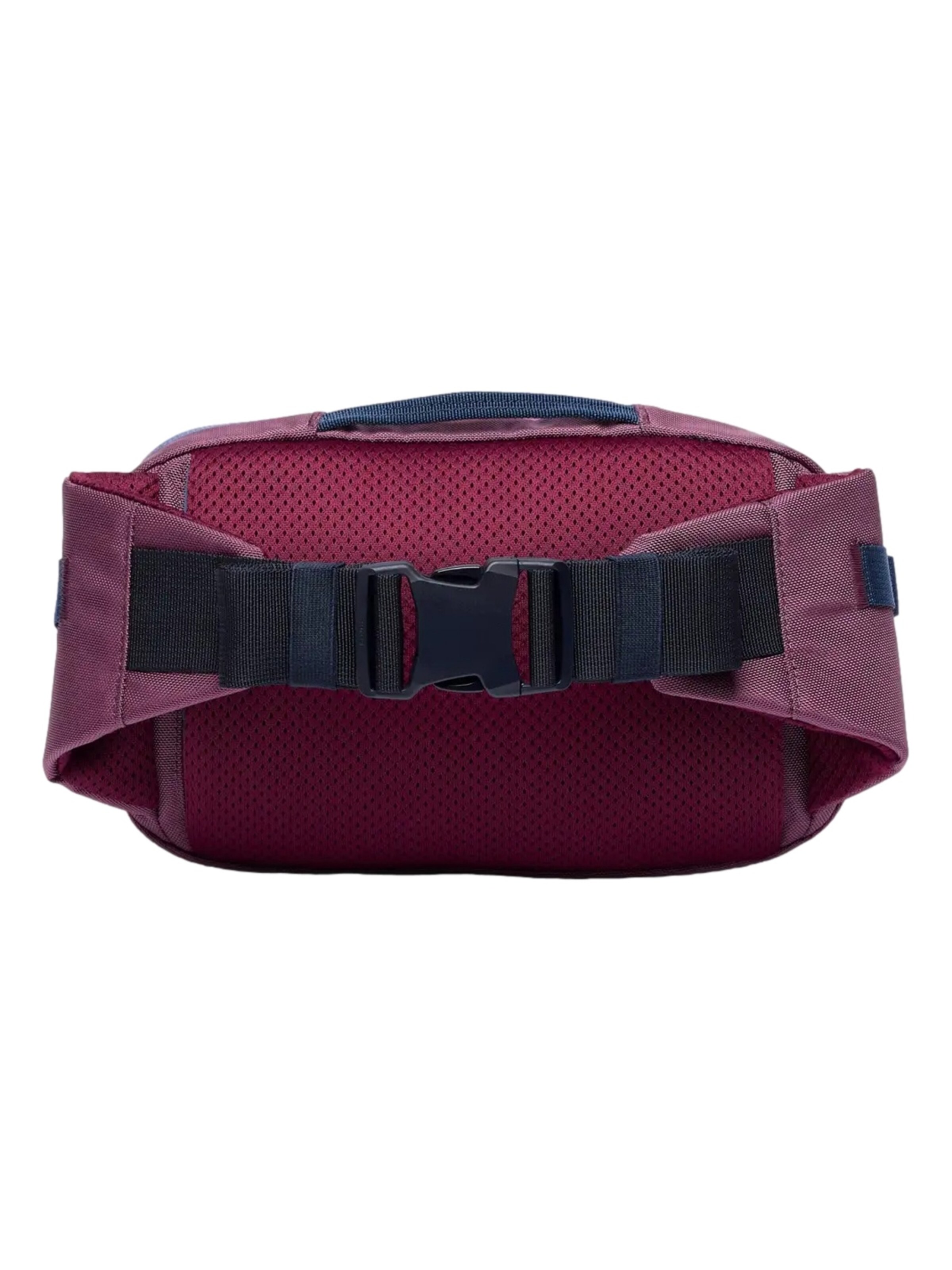 cotopaxi Fanny Pack 'Allpa X' in Pink