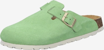 DR. BRINKMANN Clogs 'Clogs NERPIO' in Green: front