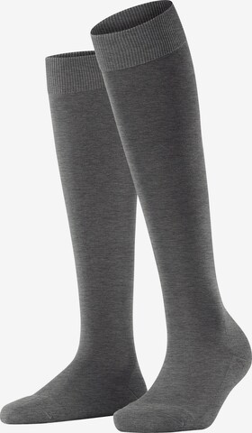 FALKE Kniestrümpfe 'ClimaWool' in Grau: Vorderseite