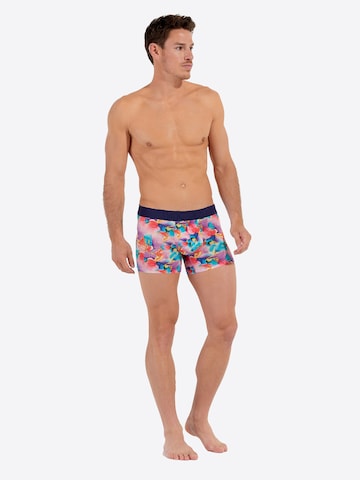 HOM Boxer shorts ' Aquaflowers ' in Mixed colors