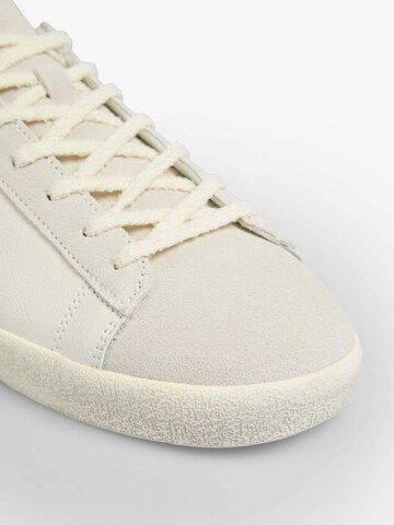 Scalpers Sneaker  low 'Henry' in Pink