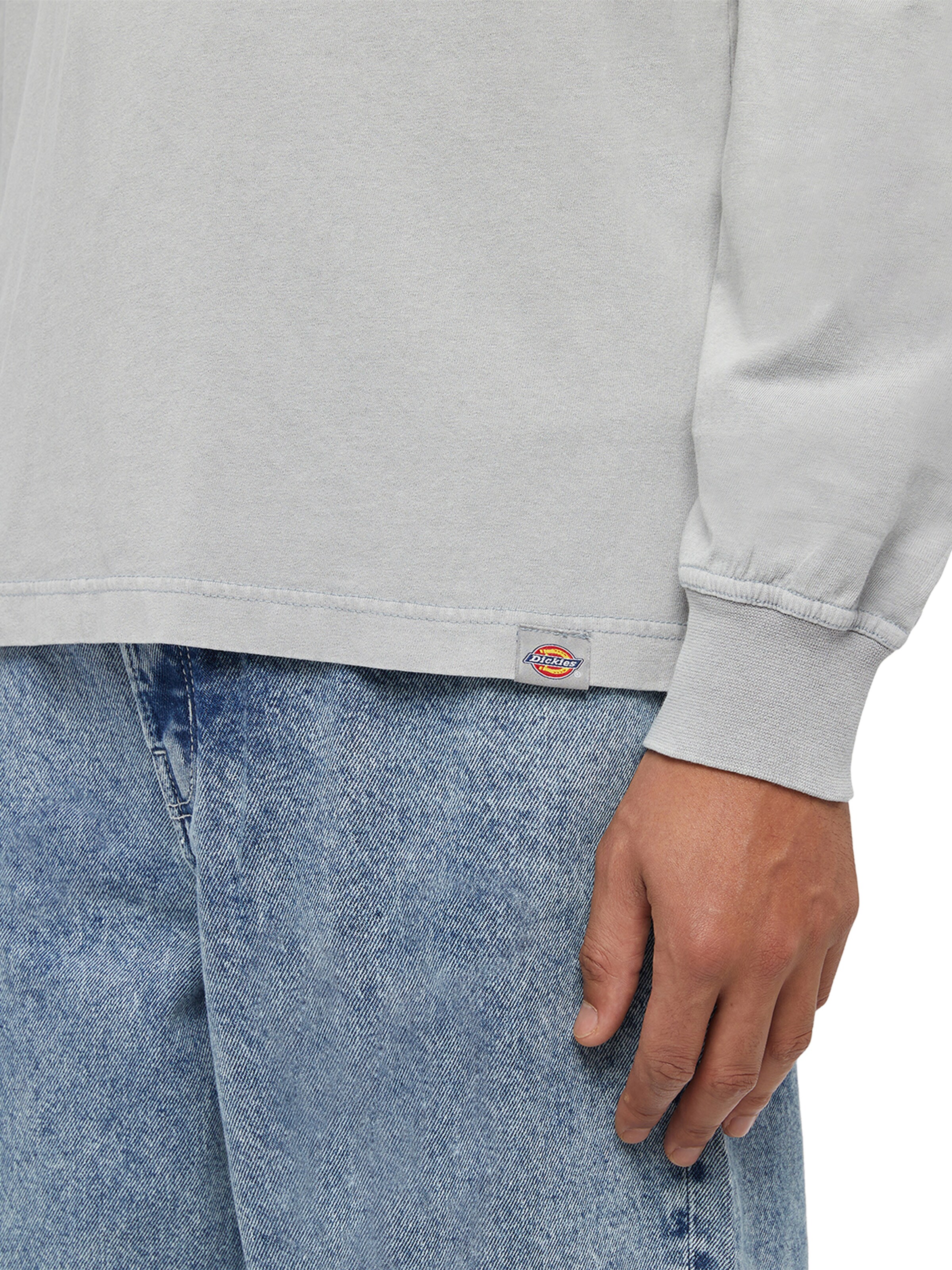 DICKIES Μπλουζάκι 'PLENTYWOOD' σε γκρι