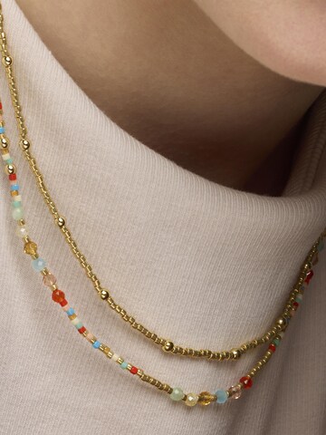 Chaîne 'Guth' Luxenter en mélange de couleurs