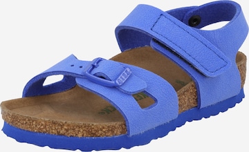 BIRKENSTOCK Sandals & Slippers 'Colorado' in Blue: front