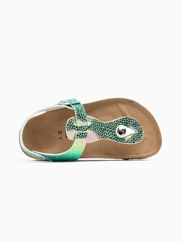 Sandales 'Rhea' Bayton en vert