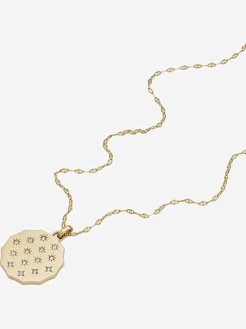 FOSSIL Necklace in Gold