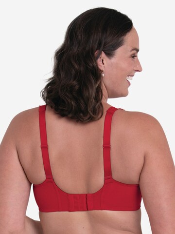 ROSA FAIA Classic Bra in Red