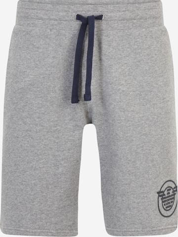 Emporio Armani Regular Pants in Grey: front