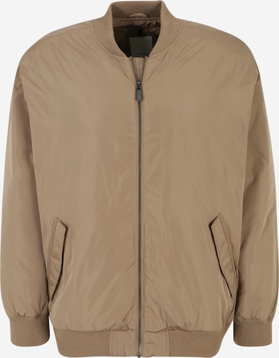 mazine Between-season jacket 'Bellis' in Dark beige, Item view