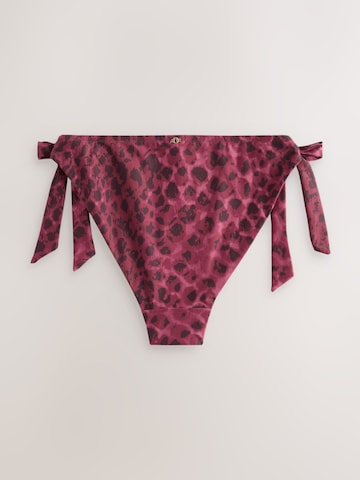 Next - Cueca biquíni em roxo