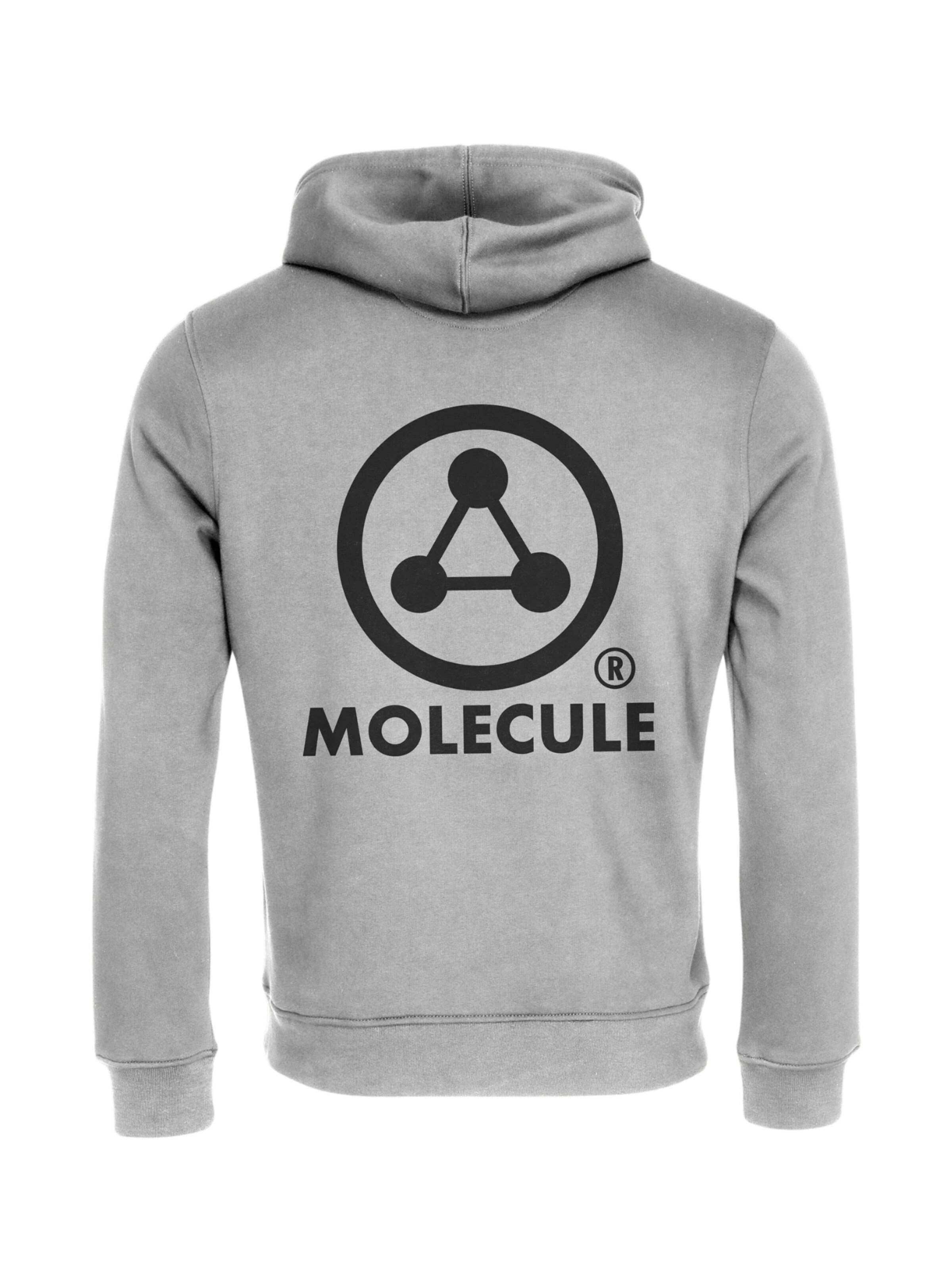 Molecule Sweatshirt i grå: forside