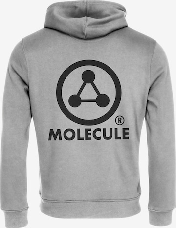 Molecule Sweatshirt i grå: forside