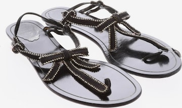 René Caovilla Sandals & High-Heeled Sandals in 40 in Black: front