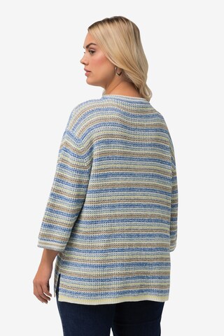 Ulla Popken Sweater in Mixed colors