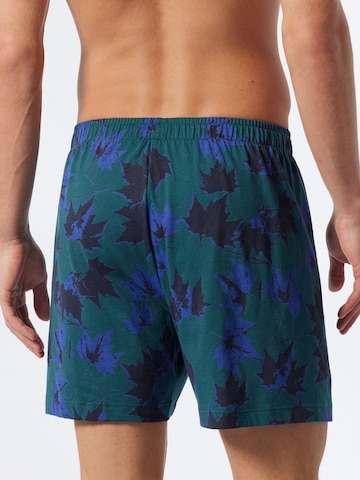 SCHIESSER Bokserki w kolorze zielony