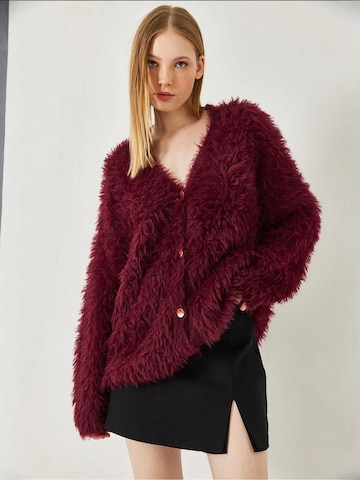 Bianco Lucci Gebreid vest in Rood