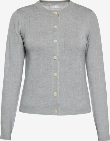 Cardigan Usha en gris : devant