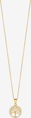 Joanli Nor Necklace 'Caianor' in Gold: front