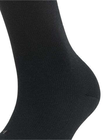 FALKE Socken 'Stabilizing Wool Everyday'‌‌‌‌‌‌‌‌‌ in Schwarz
