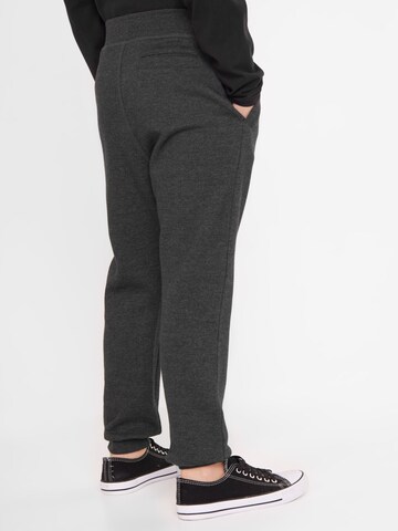 BENCH - Tapered Pantalón deportivo 'Stanley B' en gris