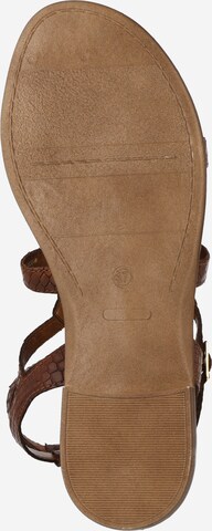 Bata Strap Sandals in Brown