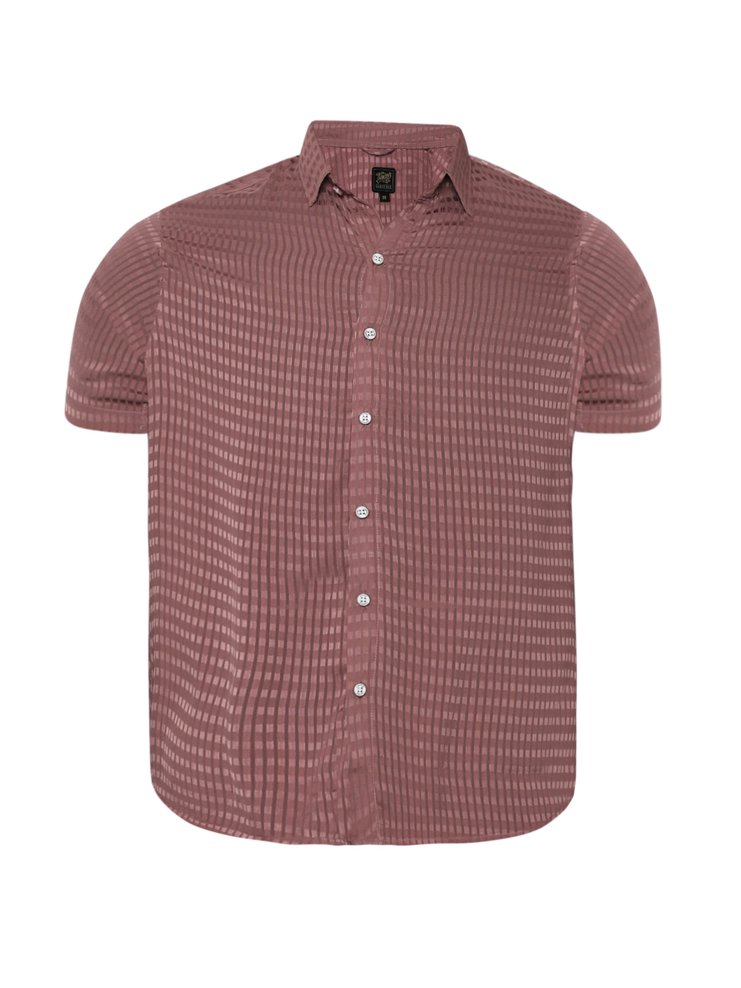 rozā Campus Sutra Standarta piegriezums Krekls 'Fernando': no priekšpuses