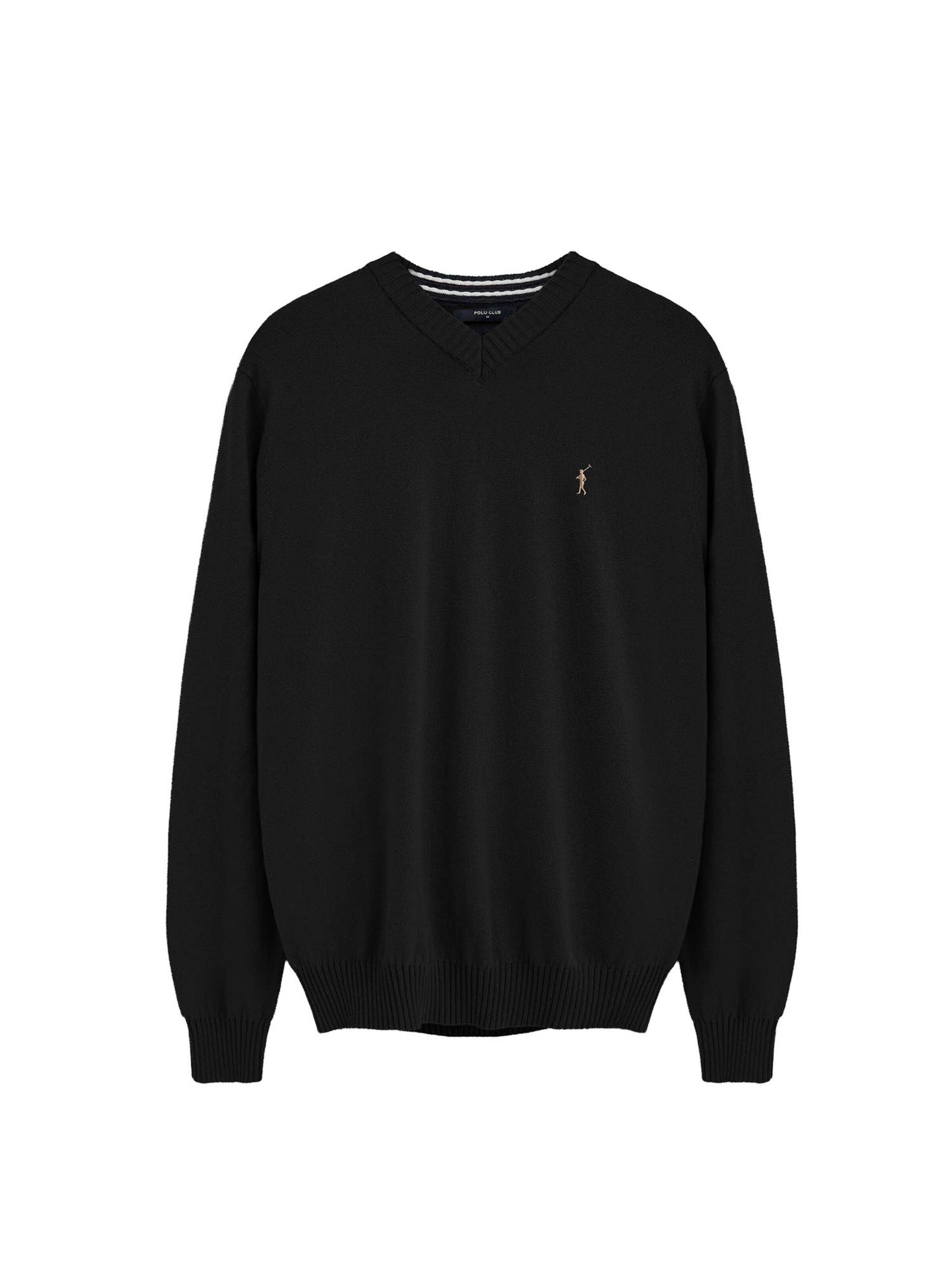 Polo Club Pullover ' RIGBY' in Schwarz: Vorderseite
