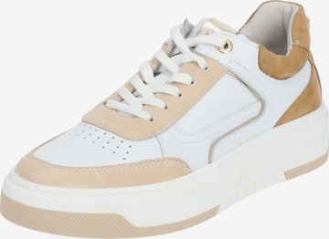 Nero Giardini Sneaker in Beige: predná strana