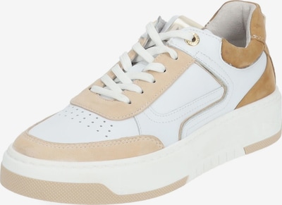 Nero Giardini Sneakers in Beige / White, Item view