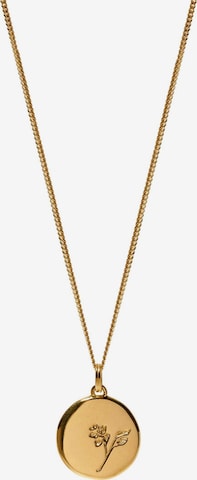 Chaîne 'Lilie' Stilnest en or : devant