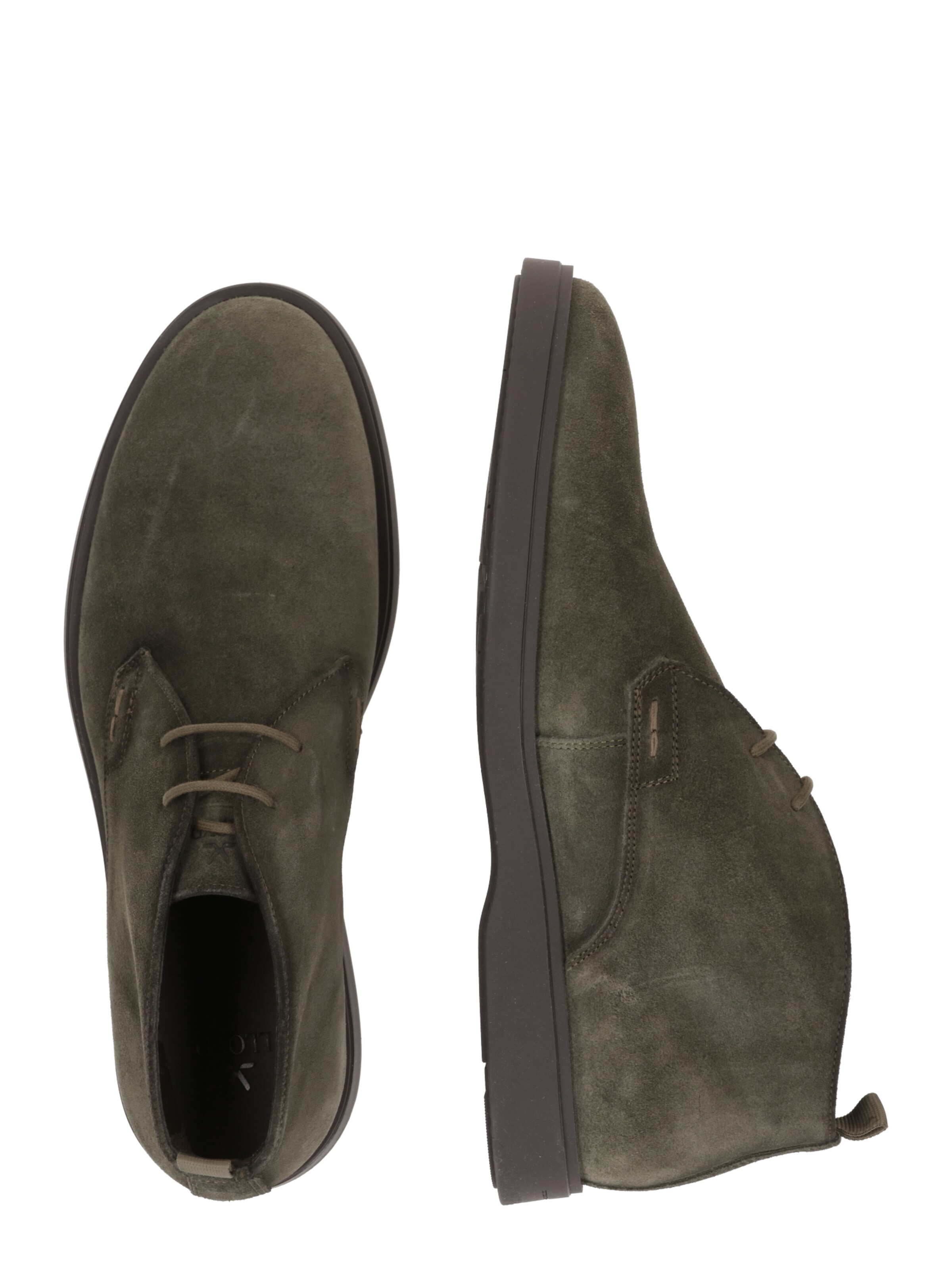 Boots chukka di LLOYD in verde