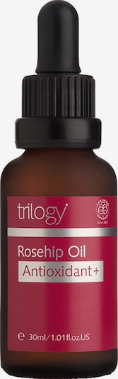 Trilogy Oil 'Rosehip Antioxidant+' in Yellow, Item view