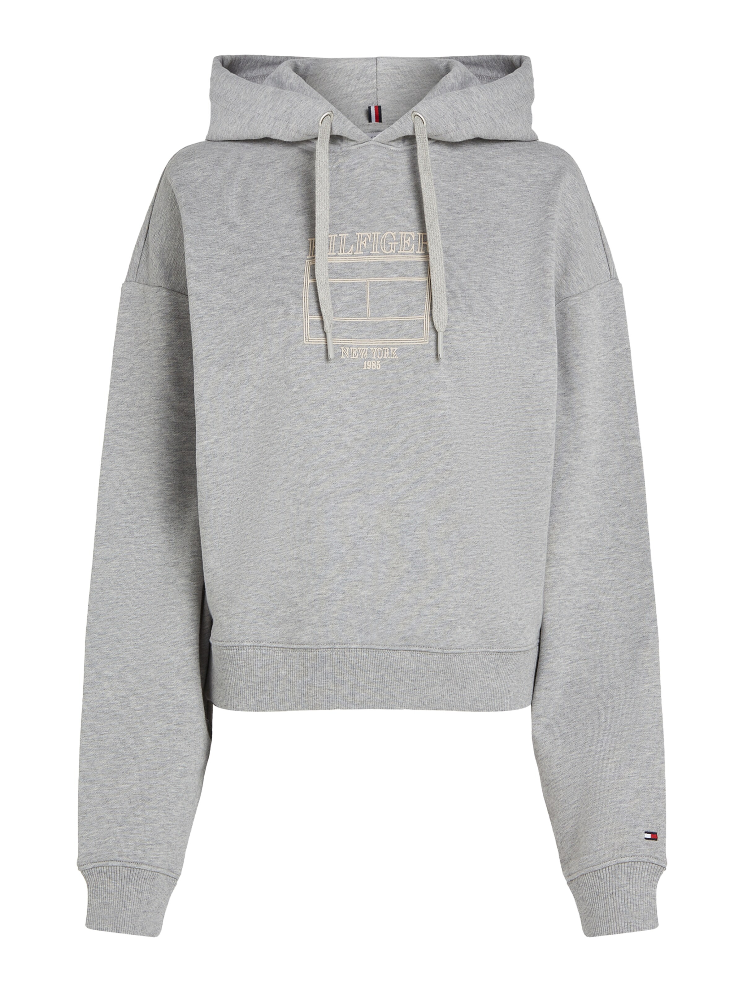 TOMMY HILFIGER Свитшот в Серый: спереди