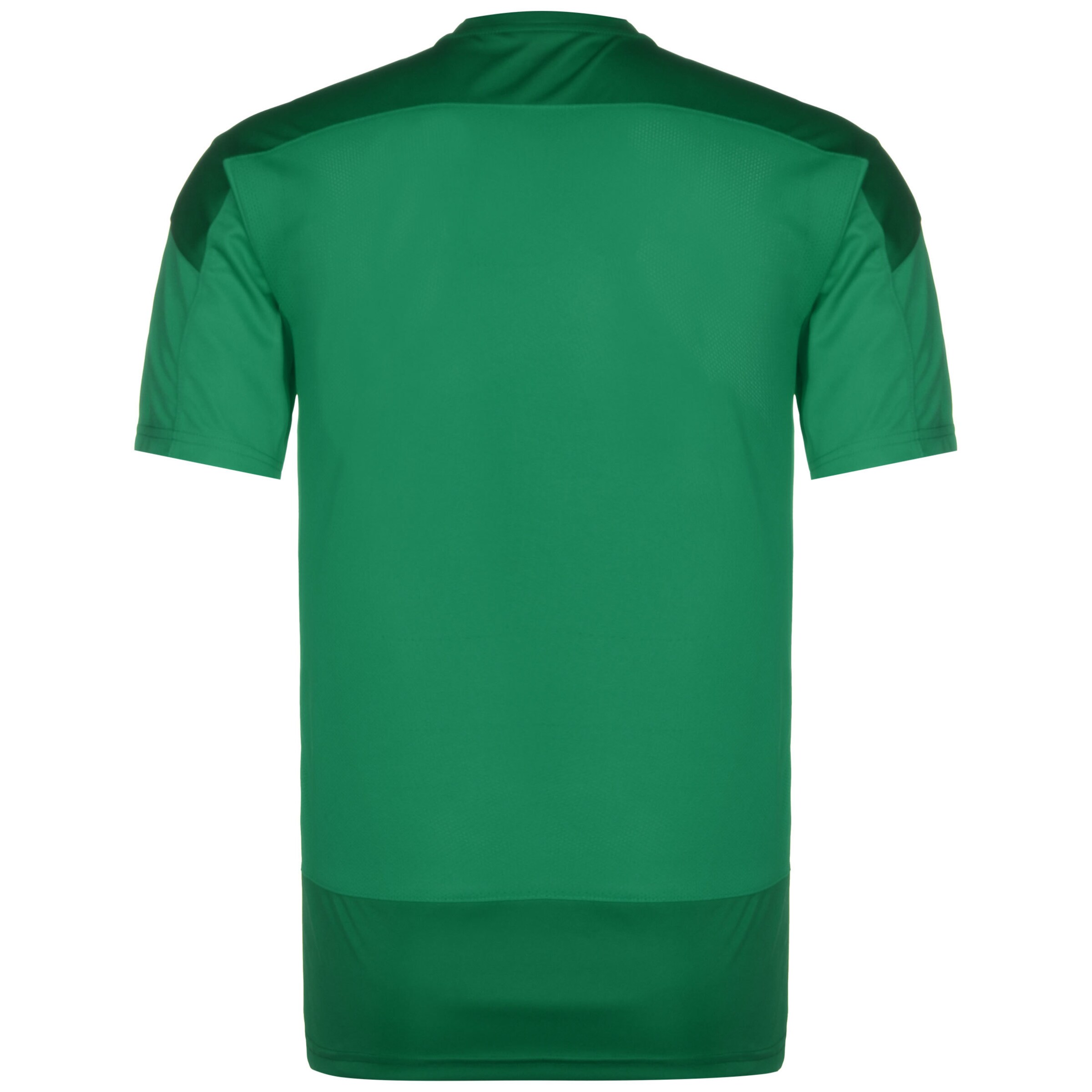 PUMA Funkční tričko 'TeamGoal 23' – zelená