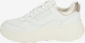 Baskets basses GEOX en blanc