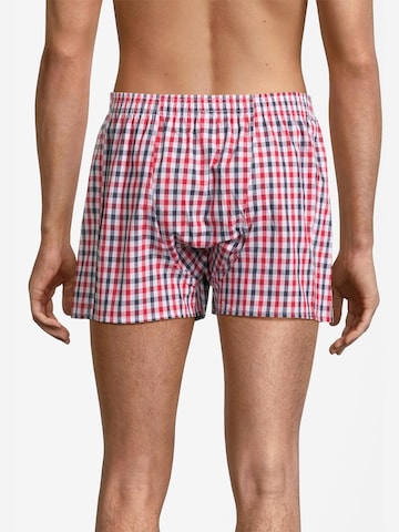 Almonu Boxershorts 'Web' in Blauw