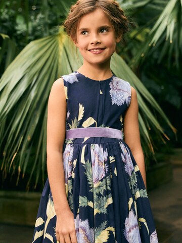 Next Dress 'Kew' in Blue