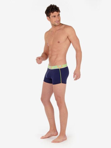 HOM Boxer shorts 'Trunk Training' in Blue: front