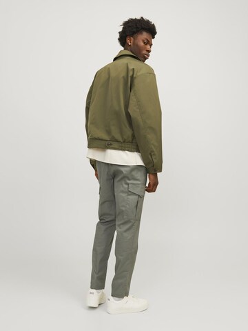 JACK & JONES Regular Cargo Pants in Grey