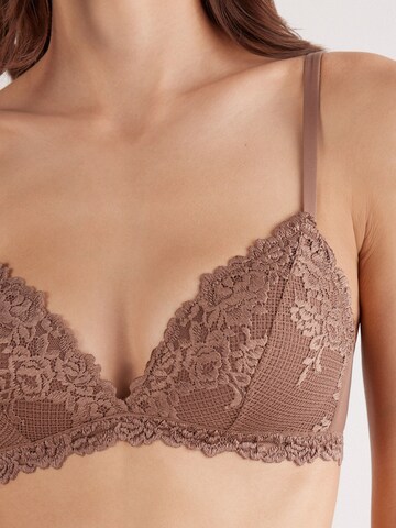 INTIMISSIMI Triangle Bra in Brown