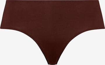 Hanro Panty ' Elia ' in Brown: front