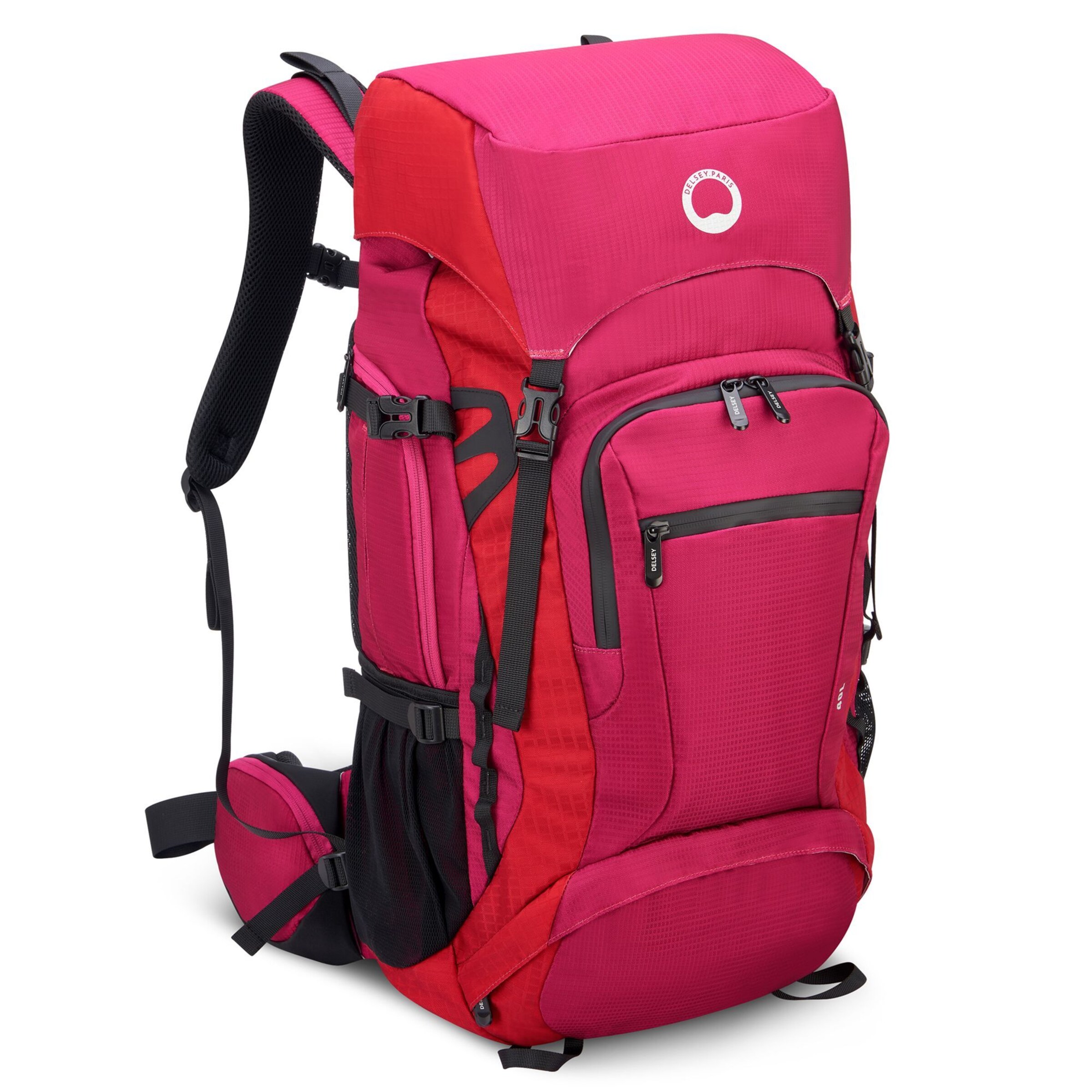 Delsey Paris Rucksack in Pink