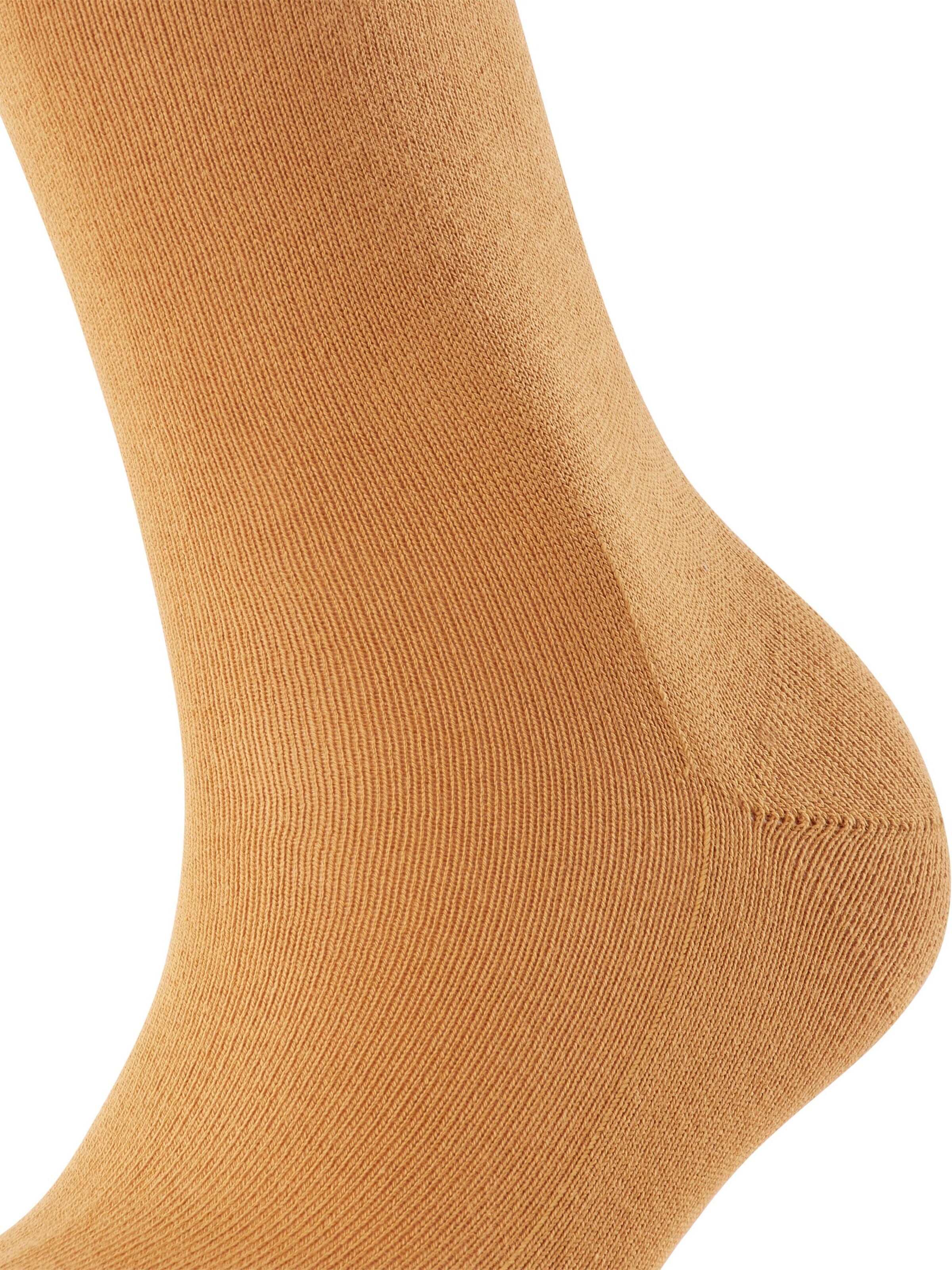FALKE Socks 'Family' in Brown