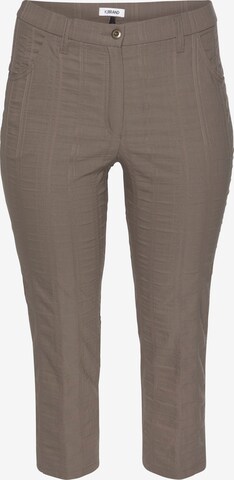 KjBRAND Pants in Brown: front