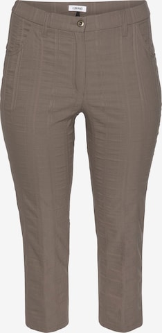 KjBRAND Regular Pants in Brown: front